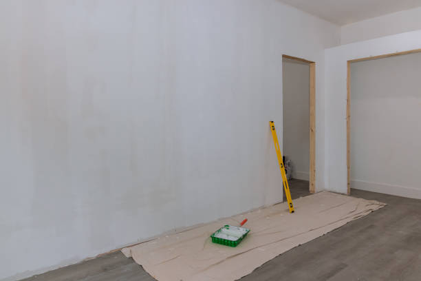 Reliable Courtland, VA Dry wall and painting Solutions